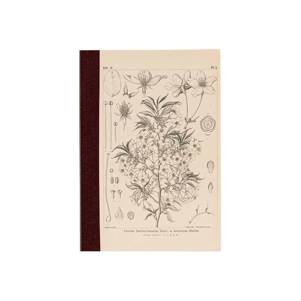 pananochiページ 1 ほぼ日 Hobonichi Techo Accessories Hobonichi Graph Notebook